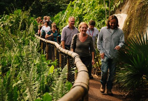 People walking along a path in the Rainforest Biome